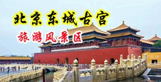 肏美女的骚屄免费视频网站中国北京-东城古宫旅游风景区